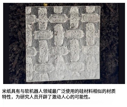米纸基可降解软体机器人问世，开启环保机器人新纪元