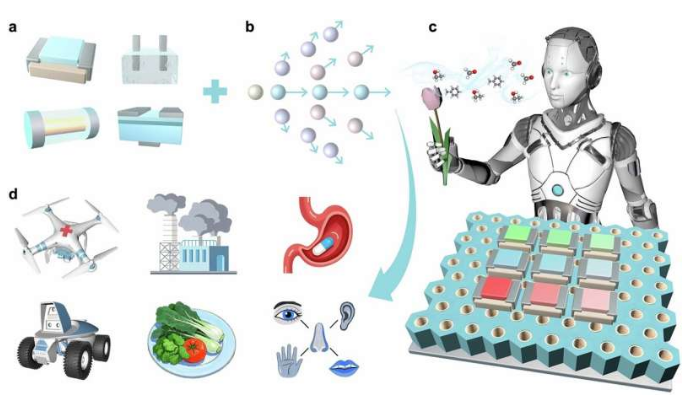 机器人电子鼻现状透视：嗅觉升级之路仍有难关待破